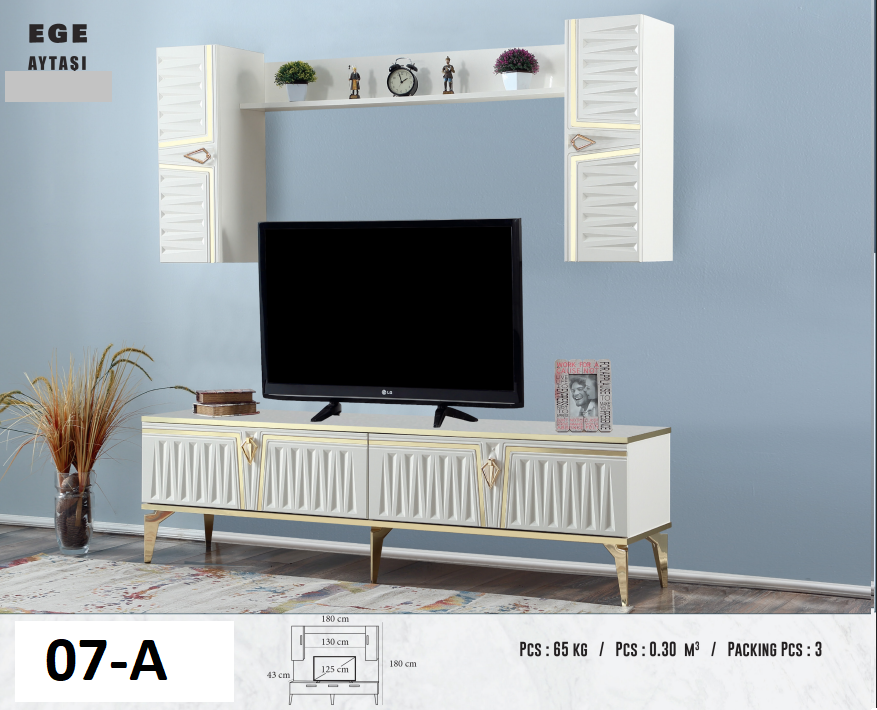EGE TV ÜNİTESİ
